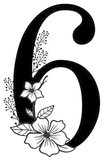6